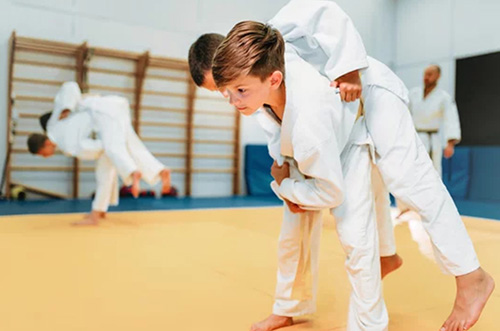 définition du judo