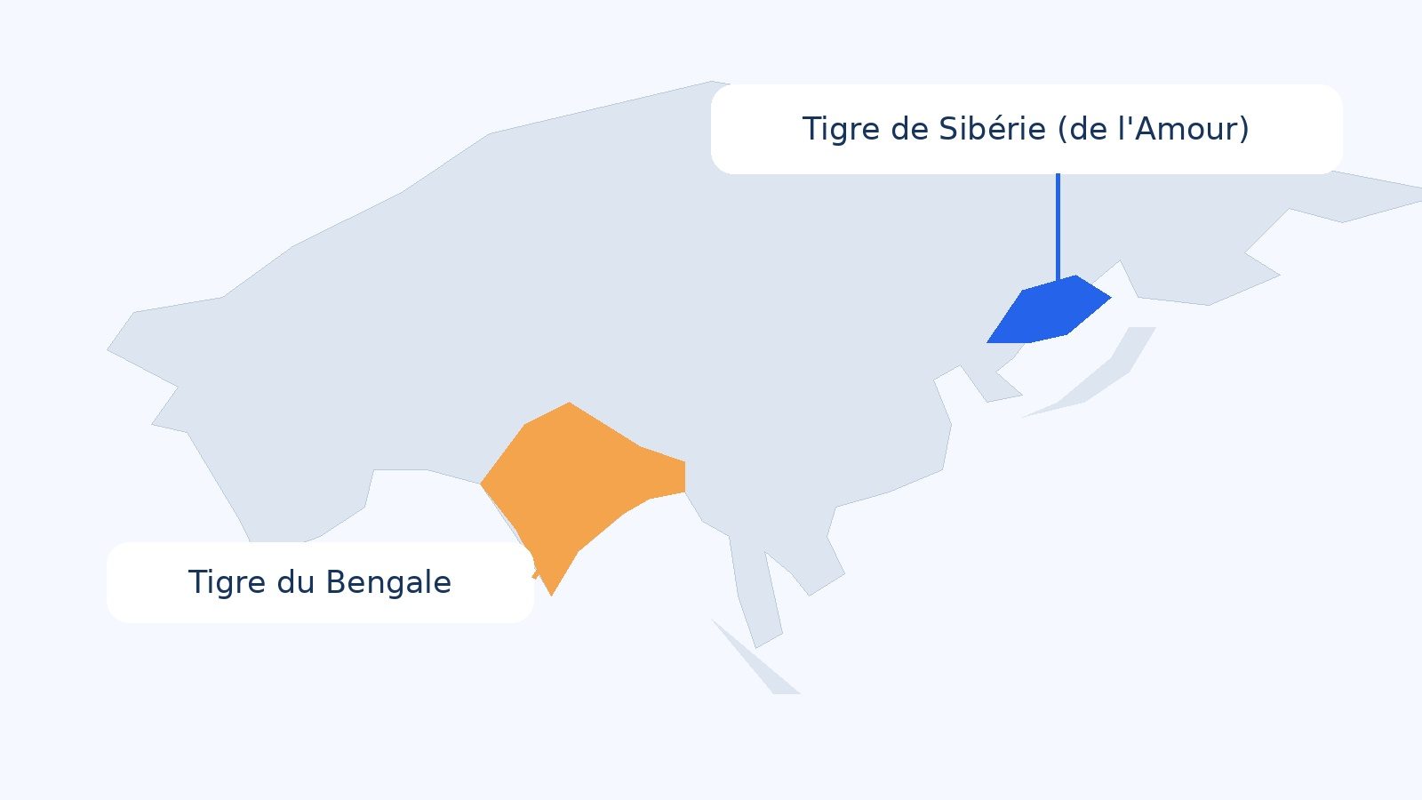 Carte de répartition du tigre du Bengale et du tigre de Sibérie en Asie