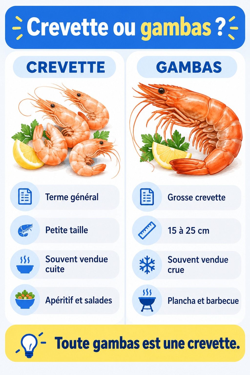 Différence entre crevette et gambas : infographie comparative