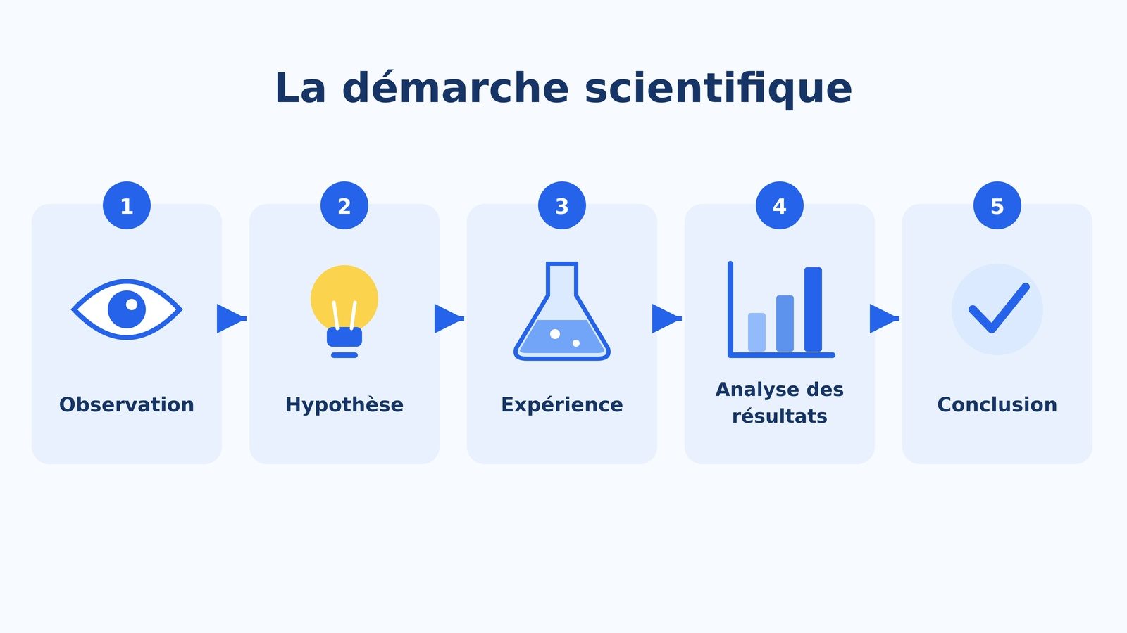 Les étapes de la démarche scientifique : observation, hypothèse, expérience, analyse, conclusion