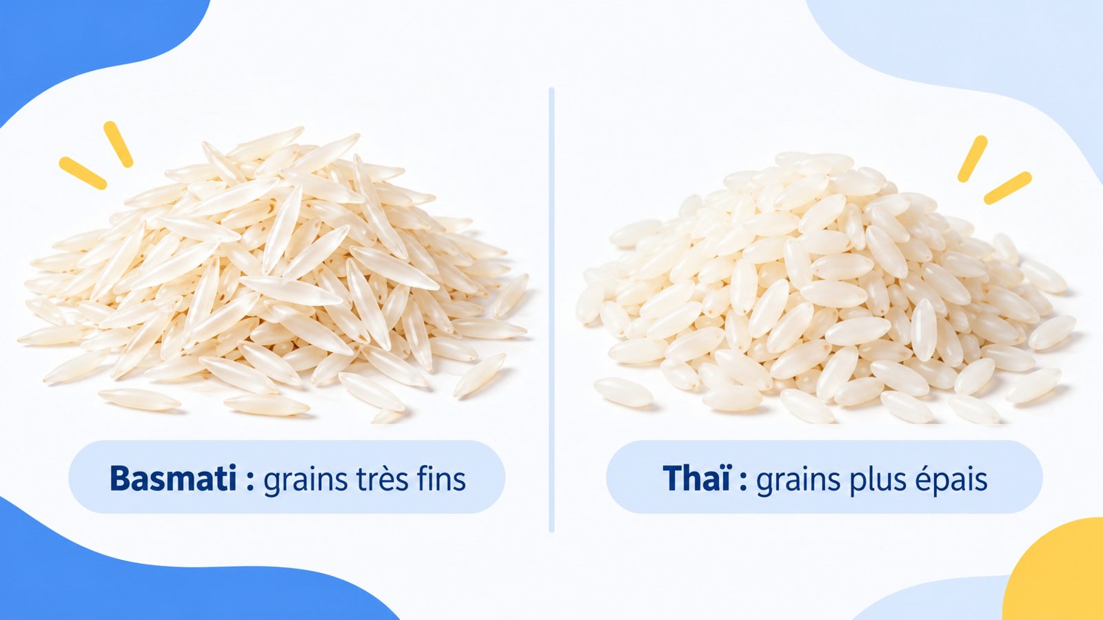 Comparaison de grains de riz basmati longs et fins et de grains de riz thaï un peu plus courts