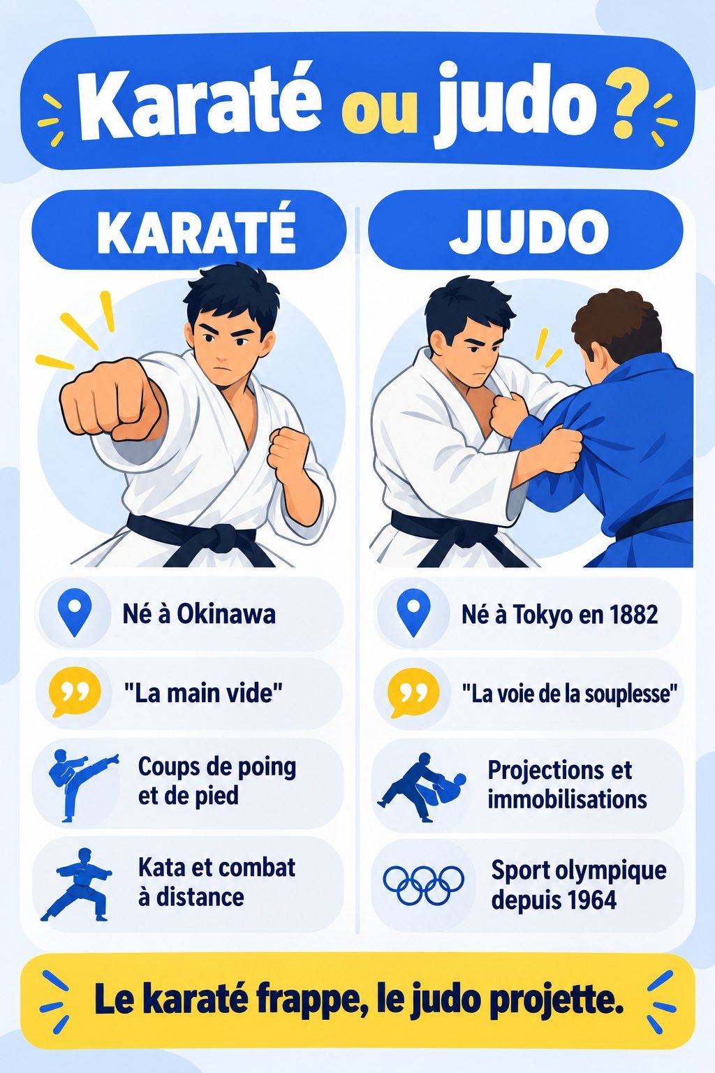 Différence entre karaté et judo : infographie comparative