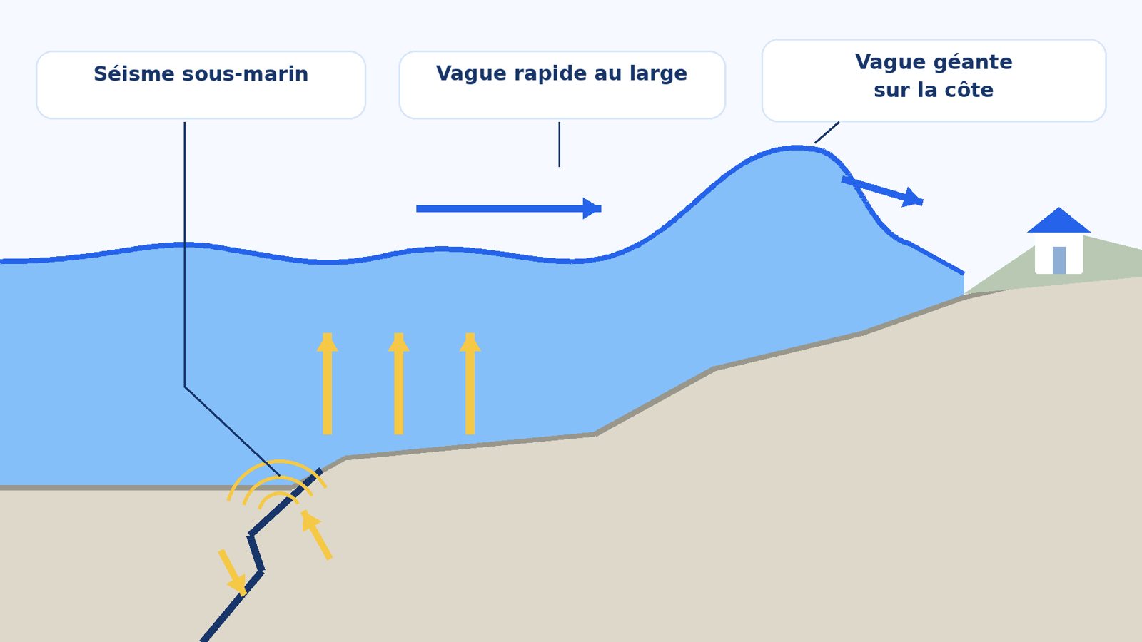 Schéma en coupe montrant un séisme sous-marin qui soulève le fond de l'océan et provoque une vague qui grandit en approchant de la côte